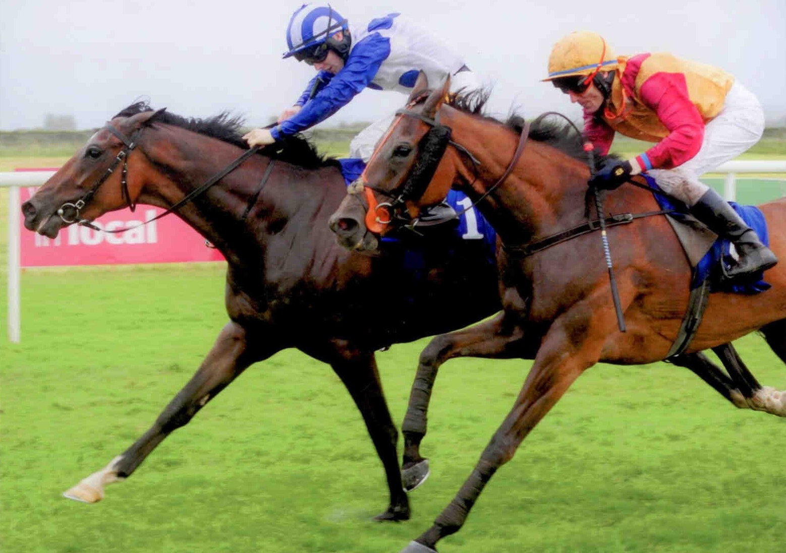 AZZURI winning at Roscommon July 6th 2015